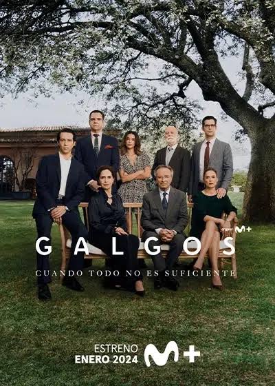 Galgos poster